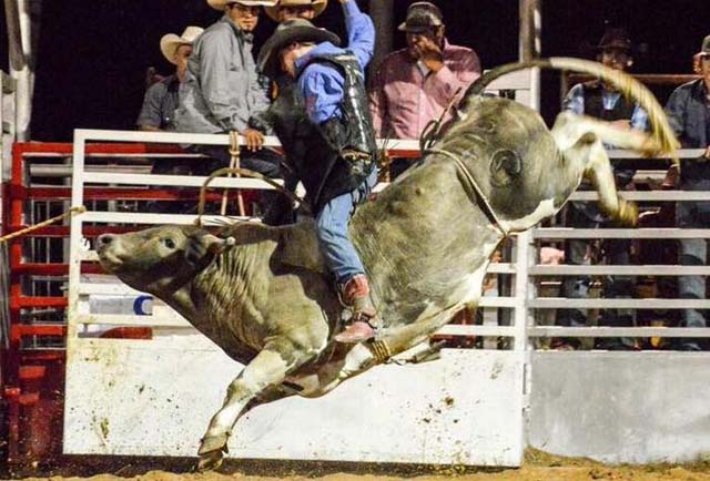 Nocona Chamber of Commerce